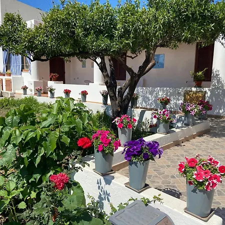 Fico D'india - Housing Lipari (Isola Lipari)